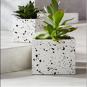 Meet your Posher, Alix